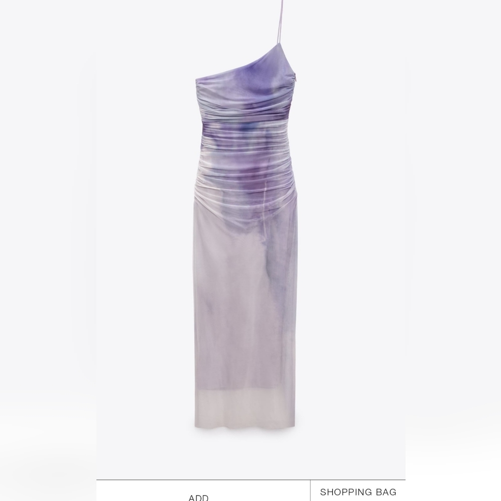 Zara dress